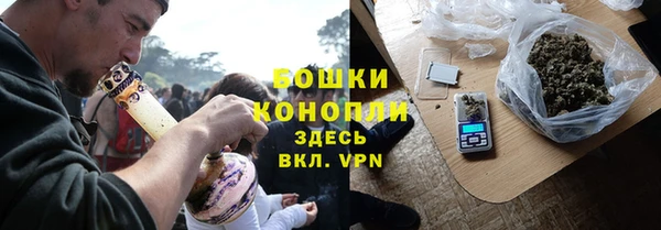 стаф Гатчина