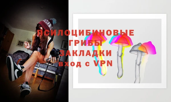 стаф Гатчина
