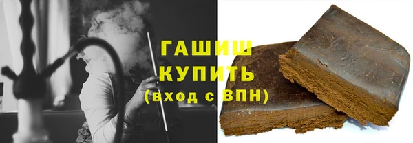 стаф Осинники