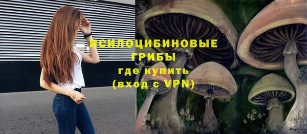 ешки Лиски