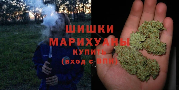 стаф Гатчина