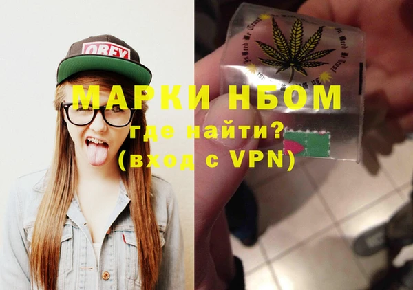 стаф Гатчина