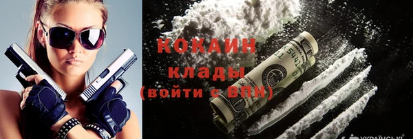стаф Гатчина