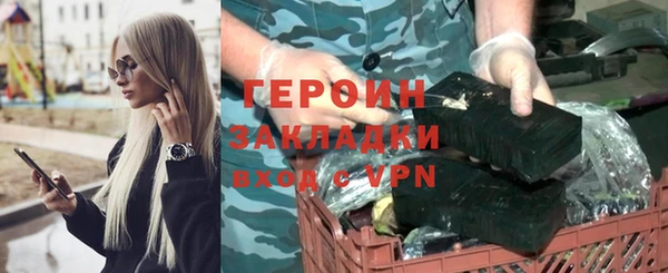 стаф Гатчина